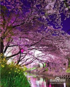 怎樣寫關(guān)于春天的作文開(kāi)頭