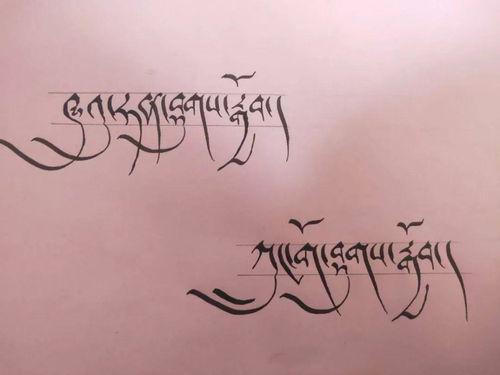 關于懂事的句子(關于懂事的作文)