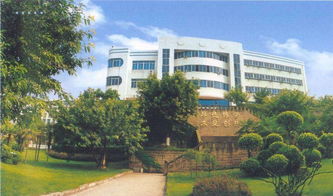 會計?？拼髮W三年規(guī)劃 ()