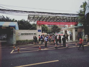 不敢靠近作文開(kāi)頭