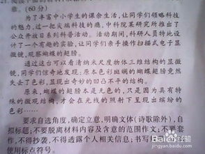 與這樣的作文開頭結(jié)尾