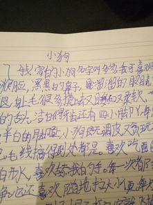 自己家的小狗作文600字作文開(kāi)頭怎么寫(xiě)