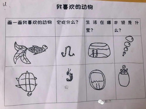 我的動物朋友高中作文開頭和結(jié)尾