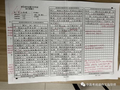 作文《那天雨一直下》開頭結尾