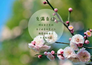 教誨作文開(kāi)頭排比