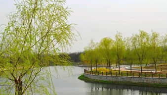 高分春天作文開(kāi)頭