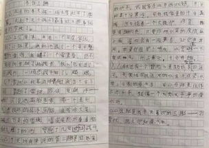 先聞其聲法開頭的作文