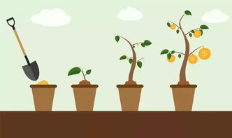 小學(xué)成長(zhǎng)的經(jīng)歷作文600字作文開(kāi)頭