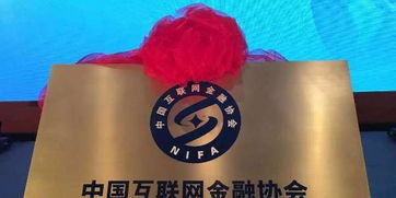 會(huì)員評(píng)價(jià)自查報(bào)告(會(huì)員評(píng)家自查報(bào)告)