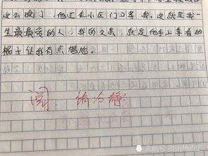 我的父親是一個好老師作文開頭結(jié)尾