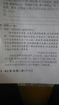 我的財(cái)富作文以環(huán)境描寫開頭