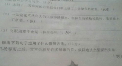 四級(jí)語文根據(jù)句子開頭寫作文