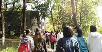 追逐夢想作文好開頭