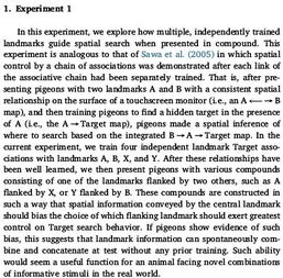 我做了實(shí)驗(yàn)作文開頭