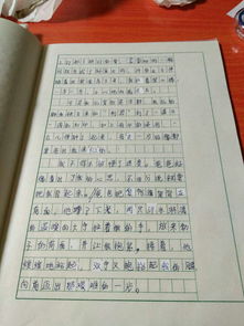 反思的作文開頭和結尾怎么寫100字