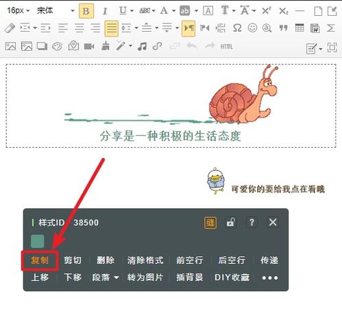 最關(guān)心你的人是你自己的作文開頭結(jié)尾