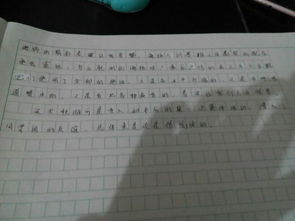 對秋游的期待作文開頭結尾