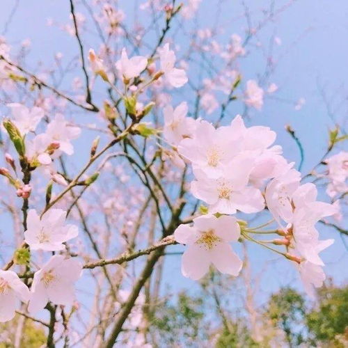 珍惜所有的不期而遇作文600字,珍惜所擁有的不期而遇作文,不期而遇的溫暖作文開頭