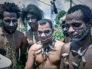 我的尋島夢(mèng)(夢(mèng)尋)