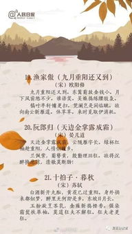 重陽節(jié)古詩開頭的作文