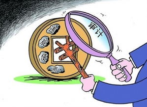 關(guān)于審計(jì)立項(xiàng)從報(bào)告(項(xiàng)目立項(xiàng)報(bào)告)