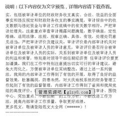 TS審核小結(jié)范文(財務(wù)審核工作小結(jié)范文)