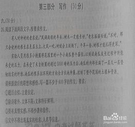 小學廚藝作文開頭