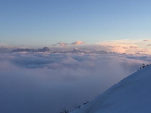 一張照片一份想念作文開頭