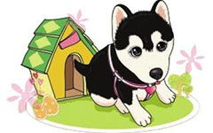 我和小狗的故事作文開頭