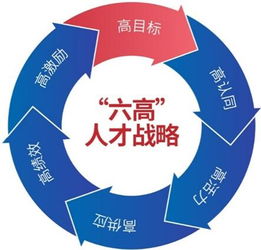 人才戰(zhàn)略的案例(人才戰(zhàn)略的案例)