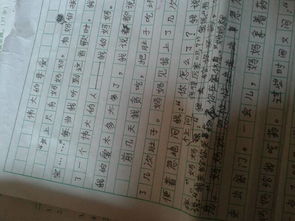 我考試的母愛作文開頭結尾