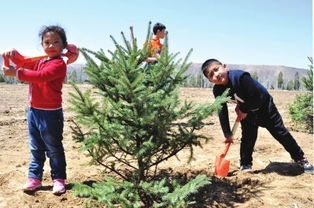 那一抹難忘的記憶作文開(kāi)頭