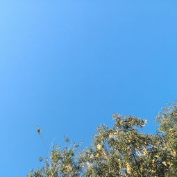 作文開頭早上天氣晴朗萬里無云