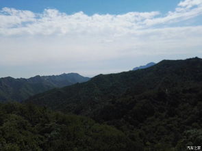 金秋時(shí)節(jié)作文開頭