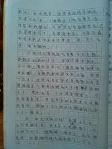 撿拾記憶中的珍珠作文開頭600字