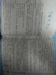 讓我印象最深刻的人的作文開頭