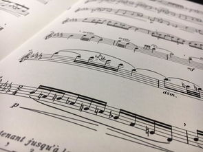 關(guān)于環(huán)境作文好開頭