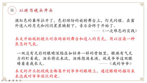 以老師比喻開頭的作文