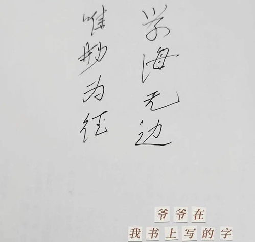 家里生活散文(家里校內(nèi)散文)