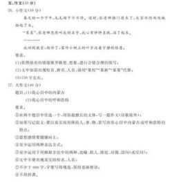 給你,我來,新疆,作文