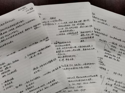 三級作文好的開頭優(yōu)美句子摘抄大全