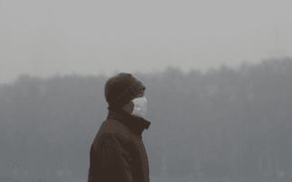 小學(xué)生關(guān)于霧霾的作文：了解霧霾(了解霧霾作文)