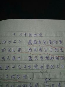 平凡的日子也什么作文600字作文開(kāi)頭