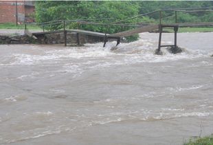 家鄉(xiāng)的環(huán)境變化調(diào)查報告(家鄉(xiāng)環(huán)境變化調(diào)查報告)