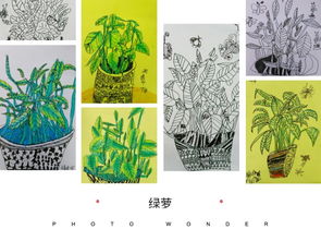 綠蘿的議論文作文開頭