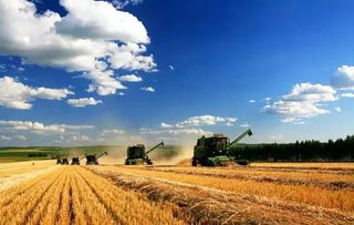 農(nóng)業(yè)工作的自查報告(關(guān)于農(nóng)業(yè)統(tǒng)計工作的自查報告)