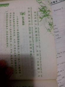 學(xué)校初一的風(fēng)景作文開(kāi)頭結(jié)尾