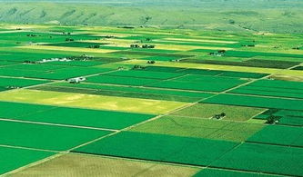 高標(biāo)準(zhǔn)農(nóng)田建設(shè)標(biāo)語(yǔ)(高標(biāo)準(zhǔn)農(nóng)田建設(shè)標(biāo)語(yǔ))