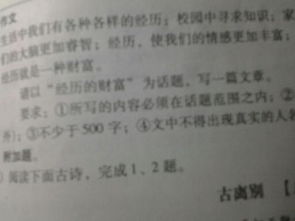 人性的經歷作文開頭