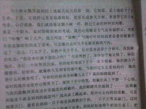 父母愛開頭作文